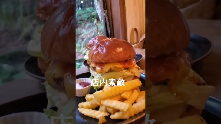 ♦️和泉　green　room　ハンバーガー　映えグルメ　和泉カフェ　南大阪グルメ　オシャレ　ハンバーガー巡り　ハンバーガーマニア　ドッグカフェ