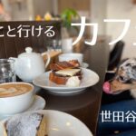 【ペット同伴可】アリスも一緒にティータイム☕️【話題の世田谷代田】