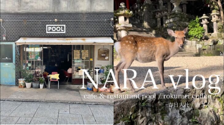 【vlog】奈良に遊びにいった23歳OL | カフェ巡りと春日大社⛩