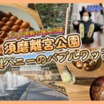 【神戸】オシャレ極まりない!須磨離宮公園で絶景カフェ☕️&恐怖滑り台!!