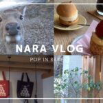 【奈良vlog】奈良をぶらり巡る日帰り癒し旅 | カフェ巡り| 観光