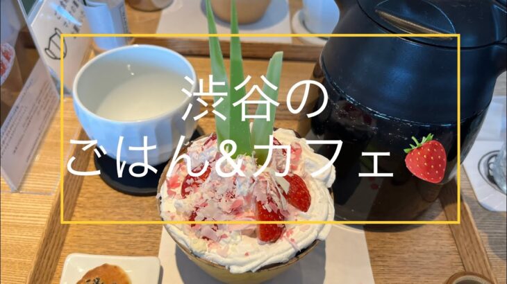 『渋谷でランチ&カフェ』White glass coffee☕️青柿🍚然花抄院🍓