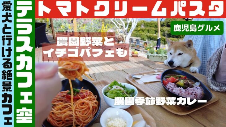 36.絶景テラスカフェ空のトマトクリームパスタ「愛犬といちご狩り」