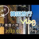 【韓国Vlog】カフェ/Vlog/美容クリニック/グルメ/旅行