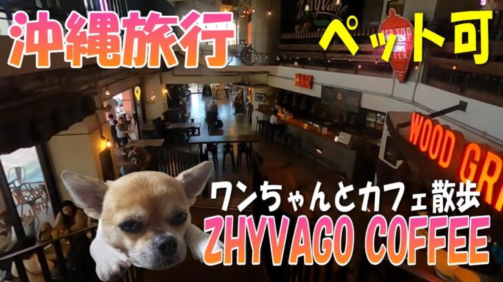 【ZHYVAGO COFFEE】【アメリカンビレッジ】【沖縄旅行】【犬】【ペット可】【散策】ワンちゃんとカフェ散歩