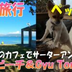 【幸喜ビーチ】【cafe&restaurant Gyu Ton Pan】【沖縄旅行】【犬】【ペット可】【散策】ビーチのカフェでサーターアンダギー