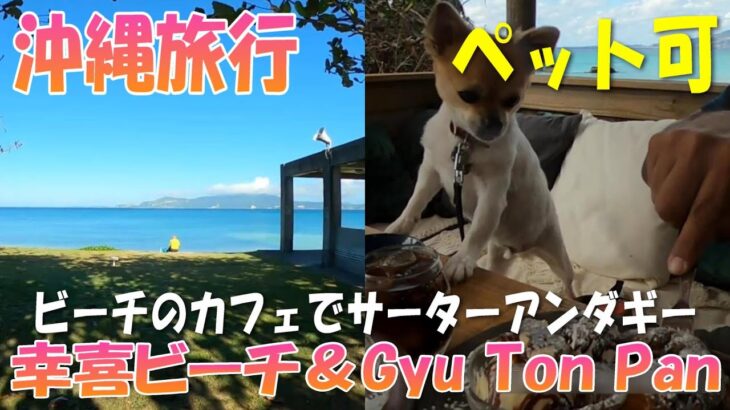 【幸喜ビーチ】【cafe&restaurant Gyu Ton Pan】【沖縄旅行】【犬】【ペット可】【散策】ビーチのカフェでサーターアンダギー