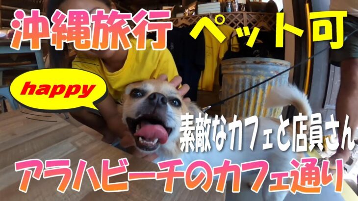 【沖縄旅行】【犬】【ペット可】【ビーチ】素敵なカフェと店員さん　アラハビーチのカフェ通り