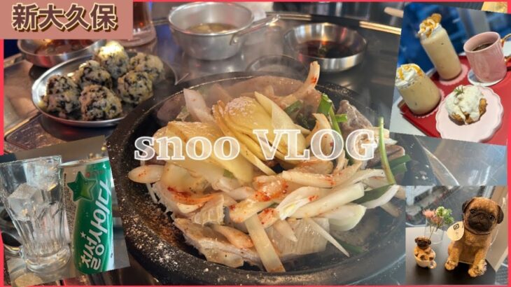 【新大久保vlog】ランチにコプチャン食べてカフェ行ったけど話し足りなくて友達のおうちでラーメンで乾杯した日🍻