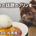 おくらも超人気カフェにいく🍰/ANEA CAFE/松見坂/ペット可カフェ/silent/プリン