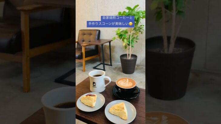 【秘密にしたい穴場カフェ@新大久保】おしゃれ空間で飲む焙煎コーヒー☕️Alternative Coffee Works😊신오쿠보