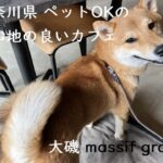 大磯でペット連れOKカフェ【massif grace】に行ってみました！