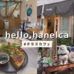 【hello,hanelca】ポメ友達とおしゃれなテラスカフェでランチ