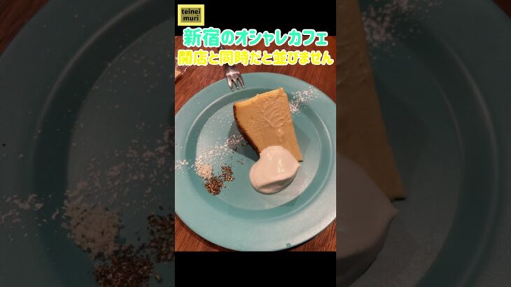 【新宿】バスクチーズケーキがとってもおいしい穴場カフェ☕️🧁#アフターオールカフェ#shorts #新宿