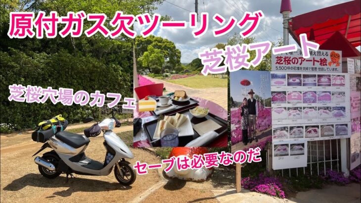 原付で行くガス欠ツーリング 芝桜カフェが穴場スポット