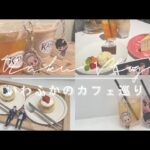 4Fave 「いわふかカフェ巡り」