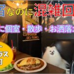 【犬とお出かけ】愛犬と一緒に新宿【店内・テラスOK】カフェに潜入！