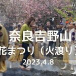 奈良県吉野の桜本坊の花まつり。カフェ巡り【旅Vlog】