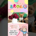 店内お花畑！　映え映えの可愛いカフェ！（ええやん動画）#shorts #genki3net#BUBU de moon