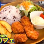 【堺市】森のカフェ　日替わりランチ６５０円　（唐揚げ・古代米・サラダ・ポテトサラダ・ポテトフライ）　大浜公園内のカフェにてランチ　大阪グルメ　堺市グルメ　食べ歩き