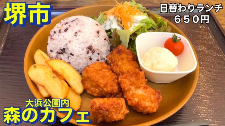 【堺市】森のカフェ　日替わりランチ６５０円　（唐揚げ・古代米・サラダ・ポテトサラダ・ポテトフライ）　大浜公園内のカフェにてランチ　大阪グルメ　堺市グルメ　食べ歩き