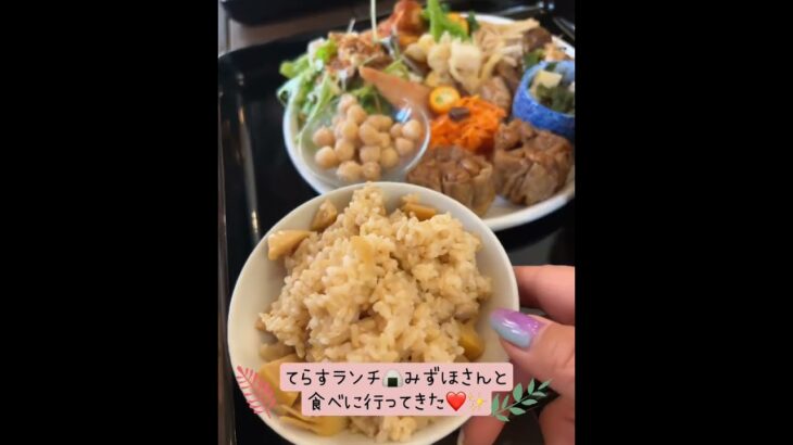 北名古屋市veganカフェTERATHのランチを盛り沢山で美味しかった件❤️✨