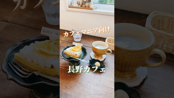 【長野市グルメ】ヴィーガン健康志向な方向けな穴場カフェ☕️✨ #長野グルメ #2023年 #グルメ #長野 #カフェ #長野市 #shorts