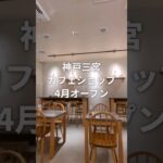 神戸三宮にカフェ「リンクツリー」オープン【Link tree】 #神戸グルメ #神戸 #神戸市