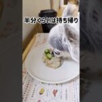 マンダリンブラザーズのカフェ #shorts