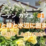 【ガーデンカフェ】#1散歩の途中で寄りたくなるCafeバラ咲くガーデンを眺めながら