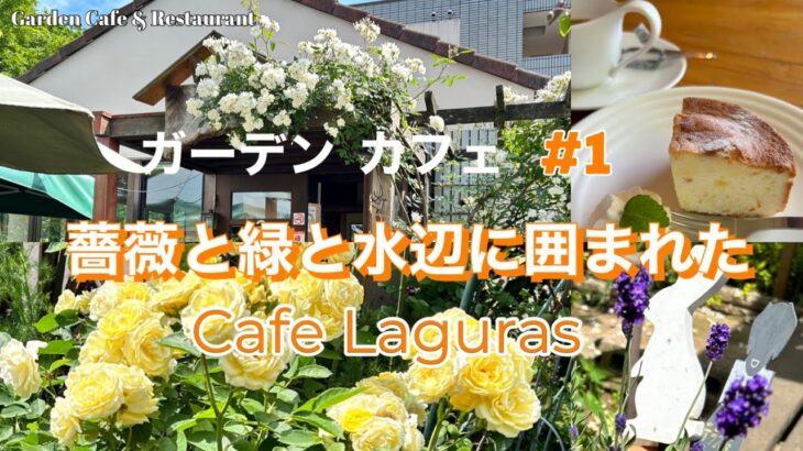【ガーデンカフェ】#1散歩の途中で寄りたくなるCafeバラ咲くガーデンを眺めながら