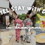 【犬と泊まれるホテル】金沢で愛犬OKな宿、観光、レストラン、カフェでミニチュアシュナウザーが可愛すぎた♡