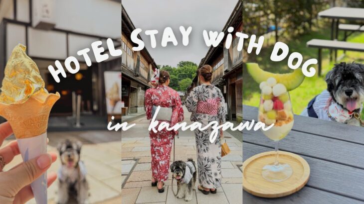 【犬と泊まれるホテル】金沢で愛犬OKな宿、観光、レストラン、カフェでミニチュアシュナウザーが可愛すぎた♡