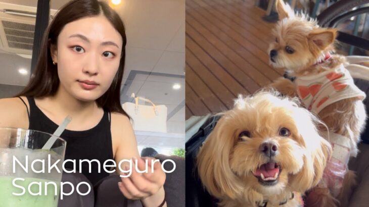 【散歩Vlog】中目黒で絶品冷やしたぬきそばを食べ、穴場カフェで涼む【店内犬OK】