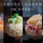 【大阪 vlog 】新店、人気店のかき氷巡り/行列の出来る最新ベーカリー/大阪カフェ巡り