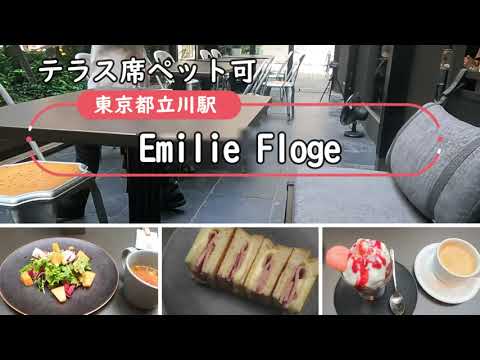 【ペット可】エミリー・フローゲ （Emilie Floge）