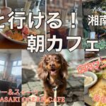 【犬と行ける朝カフェ】湘南編。店内ワンコOK！海沿いカフェや茅ヶ崎超有名店！ワンコと一緒に朝ごはん食べに行こう！