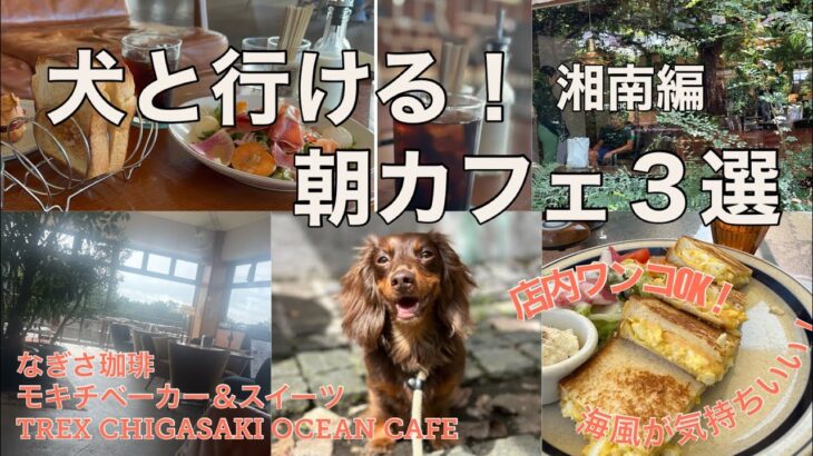 【犬と行ける朝カフェ】湘南編。店内ワンコOK！海沿いカフェや茅ヶ崎超有名店！ワンコと一緒に朝ごはん食べに行こう！