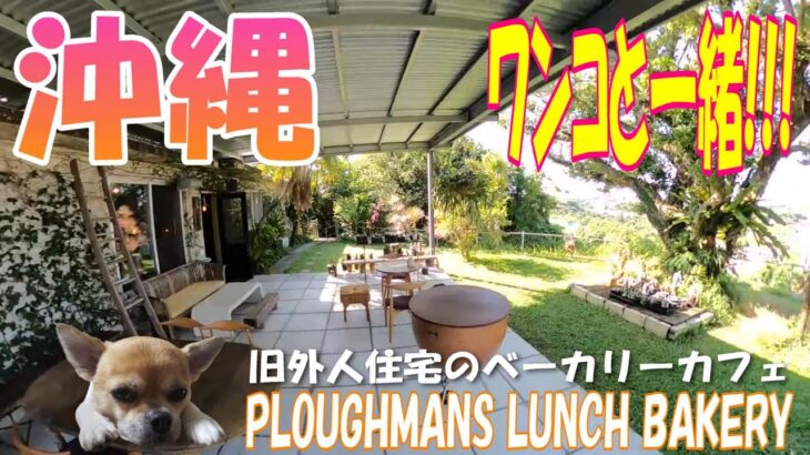 【PLOUGHMANS LUNCH BAKERY】【プラウマンズ ランチ ベーカリー】【沖縄旅行】【犬】【ペット可】【食事】外人住宅の隠れ家カフェ