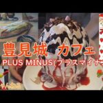 【豊見城 カフェ】糸満ロード沿い、豊見城市にあるカフェ「PLUS MINUS（プラス マイナス）」にて映え～なかき氷とホットドッグを頂きました♬アラフィフ２人組が楽しく飲み食いするチャンネルです