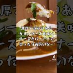 「孤独だわぁ…」オヤジのランチ千葉市川の〝ol cafe dining -オル カフェ ダイニング-〟で チーズカレー を