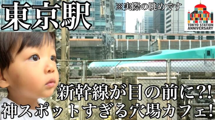 【新幹線穴場スポット】新幹線を見たいならここしかない!!本当は教えたくない東京駅近くにある神すぎる眺めの穴場カフェ!!