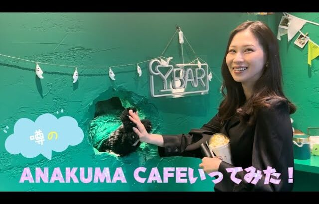 【原宿】ANAKUMA CAFEいってみた！【インスタ映え】