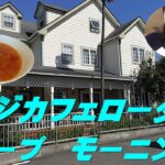 【出たがり美💖のカフェ巡り】今回のカフェは、ベジカフェロータスさんです／This time’s cafe is Veggie Cafe Lotus.