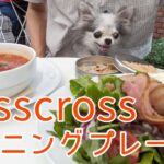 【表参道】涼しくなってきたから久しぶりに早朝からオープンするペット可のお勧めカフェ crisscross