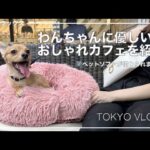 【犬連れ必見】東京で愛犬とカフェに行くならここがおすすめ｜ドッグカフェ/高輪/芝浦