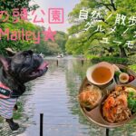 犬とお出かけ♪in[井の頭公園]カフェ、自然、散歩コース、ユーモア、楽しすぎる歴史ある公園！！