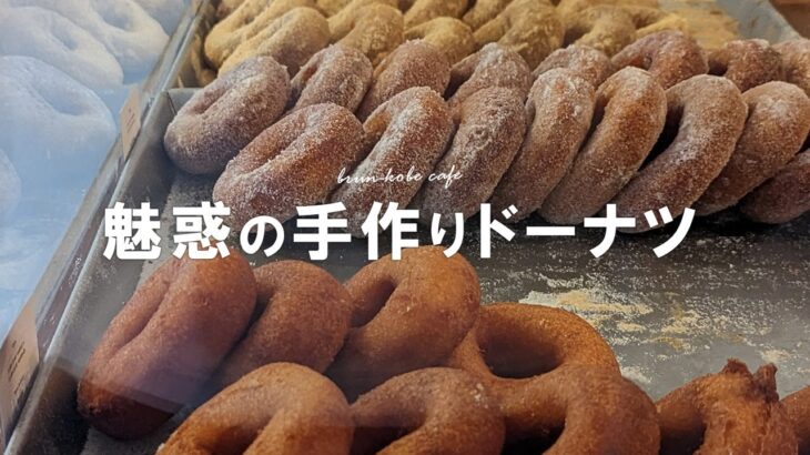 【神戸新店カフェ】どのドーナツが好き？4種類食べ比べ🍩【花隈 BRUN】