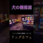 【闇ドッグカフェ】インスタ映え間違いなしの空間　menuフリードリンク　フリーフード