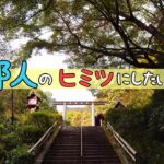 【秋の京都旅】地元民が行く穴場紅葉パワースポット/スイーツとカフェ巡り